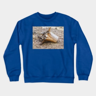 Stumped Crewneck Sweatshirt